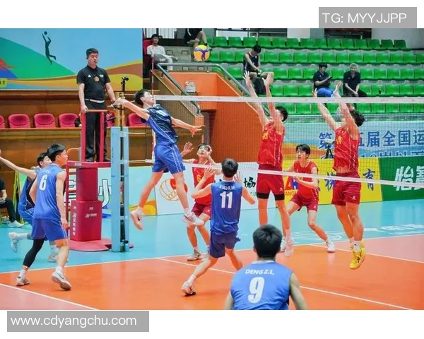 重庆排球队心理素质引发热议球迷与专家各抒己见探讨背后原因