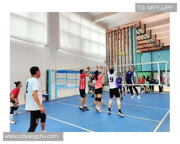 体育实时数据排球巨献揭秘北京排球队背后的强大力量与奋斗故事