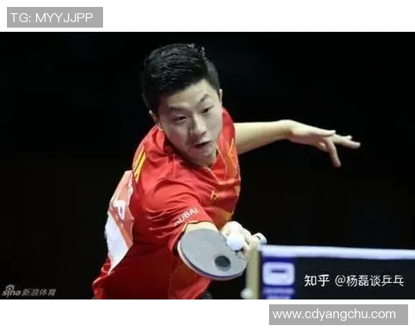 杨磊专访揭秘乒乓球成功秘诀与训练心得分享实时数据