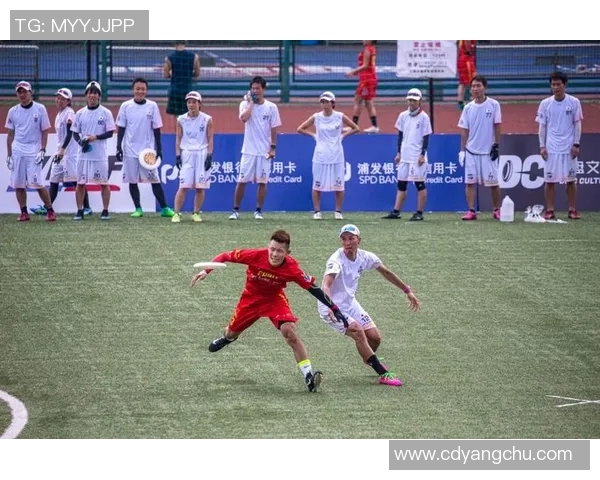 运动数据南京飞盘队的蜕变之旅从初创到崭露头角的纪实记录